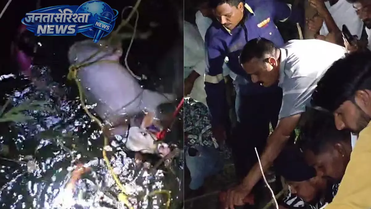 Waluj : कुएं में गिरा सांड, फायर ब्रिगेड ने दो घंटे चले रेस्क्यू ऑपरेशन में बचाया Waluj : कुएं में गिरा सांड, फायर ब्रिगेड ने दो घंटे चले रेस्क्यू ऑपरेशन में बचाया