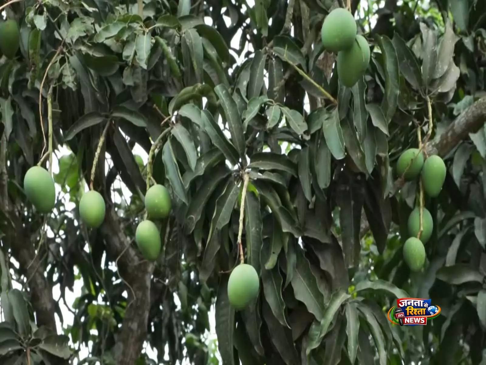 Malda में एयरपोर्ट खोलने की मांग तेज Malda में एयरपोर्ट खोलने की मांग तेज