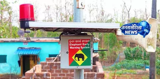 हाथियों के कारण Dhenkanal में सुरक्षा बढ़ाने के लिए टेक्नोलॉजी अपनाई गई हाथियों के कारण Dhenkanal में सुरक्षा बढ़ाने के लिए टेक्नोलॉजी अपनाई गई