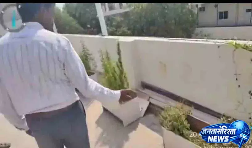 पूर्वी Gandhinagar से 10 किलो गांजा, 17 पौधे बरामद पूर्वी Gandhinagar से 10 किलो गांजा, 17 पौधे बरामद