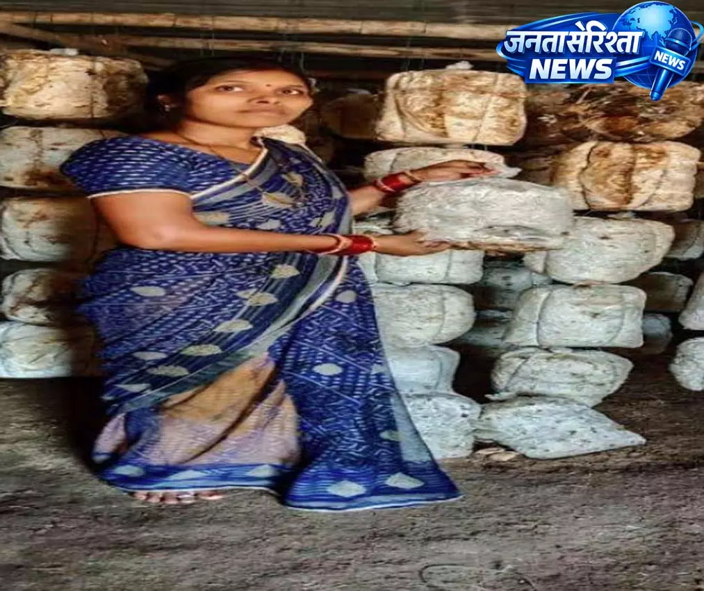 गृहिणी से लखपति दीदी बनीं तुलेश्वरी, मशरूम उत्पादन से बदली जिंदगी गृहिणी से लखपति दीदी बनीं तुलेश्वरी, मशरूम उत्पादन से बदली जिंदगी
