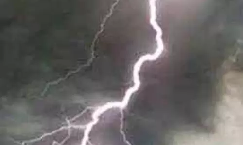 गाज गिरने से 9 मवेशियों की मौत