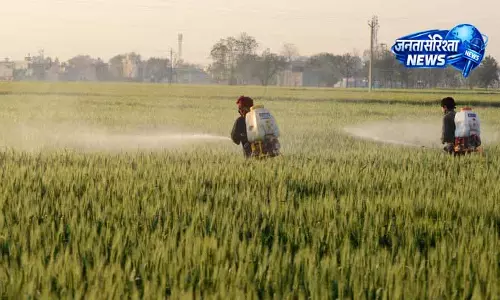 Punjab: डायवर्सिफिकेशन अब विकल्प नहीं, आवश्यकता