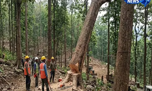 Gauhati HC की आइजोल बेंच ने लामुअल साइट पर पेड़ों की कटाई पर लगाई रोक Gauhati HC की आइजोल बेंच ने लामुअल साइट पर पेड़ों की कटाई पर लगाई रोक