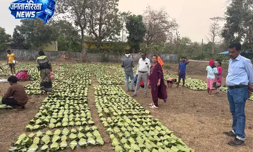 हरा सोना संग्राहकों की आय बढ़ाने की दिशा में बड़ा कदम