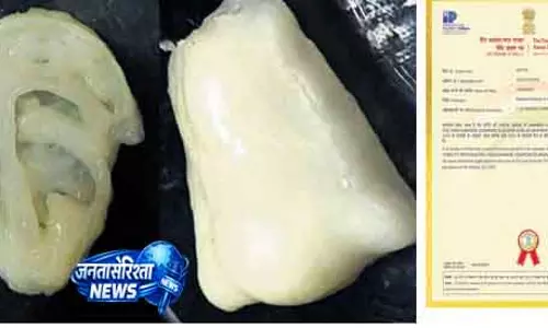 NIT Rourkela ने 3D-प्रिंटेड टिशू रिपेयर के लिए बायो-इंक का पेटेंट कराया NIT Rourkela ने 3D-प्रिंटेड टिशू रिपेयर के लिए बायो-इंक का पेटेंट कराया