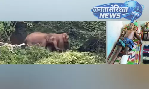 Kerala : जंगल की आग के कारण जंगली हाथी आबादी वाले इलाकों में घुस आए Kerala : जंगल की आग के कारण जंगली हाथी आबादी वाले इलाकों में घुस आए