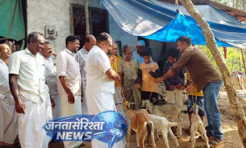 Kerala : आवारा कुत्तों के हमले से भेड़ों की मौत, पंचायत सदस्य ने दी मदद