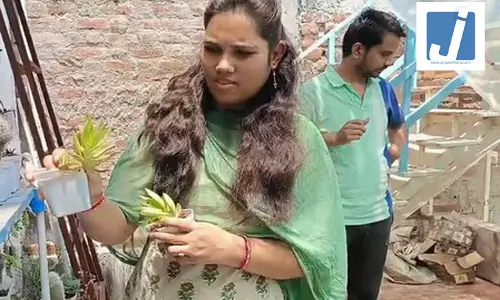 पृथ्वी दिवस पर मिसाल बना ये दंपति, घर में लगाए डेढ़ हजार पौधे पृथ्वी दिवस पर मिसाल बना ये दंपति, घर में लगाए डेढ़ हजार पौधे