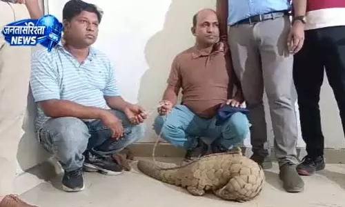 रायपुर के झुग्गी झोपड़ी से करोड़ों की पैंगोलिन का रेस्क्यू, दो गिरफ्तार रायपुर के झुग्गी झोपड़ी से करोड़ों की पैंगोलिन का रेस्क्यू, दो गिरफ्तार