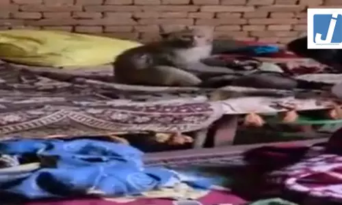 OMG! बंदर मासूम को दुलार करने लगा, घंटो मशक्कत के बाद मुक्त कराया गया