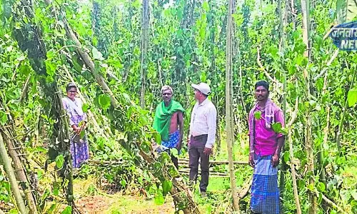 Karnataka : बेमौसम बारिश से भारी नुकसान