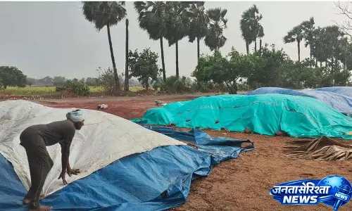 Mulugu बारिश: भारी बारिश और तेज़ हवाओं से खरीद केंद्रों पर अनाज भीगा