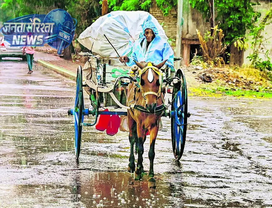 Karnataka rains : कल्याण के कई हिस्सों में बारिश हुई Karnataka rains : कल्याण के कई हिस्सों में बारिश हुई