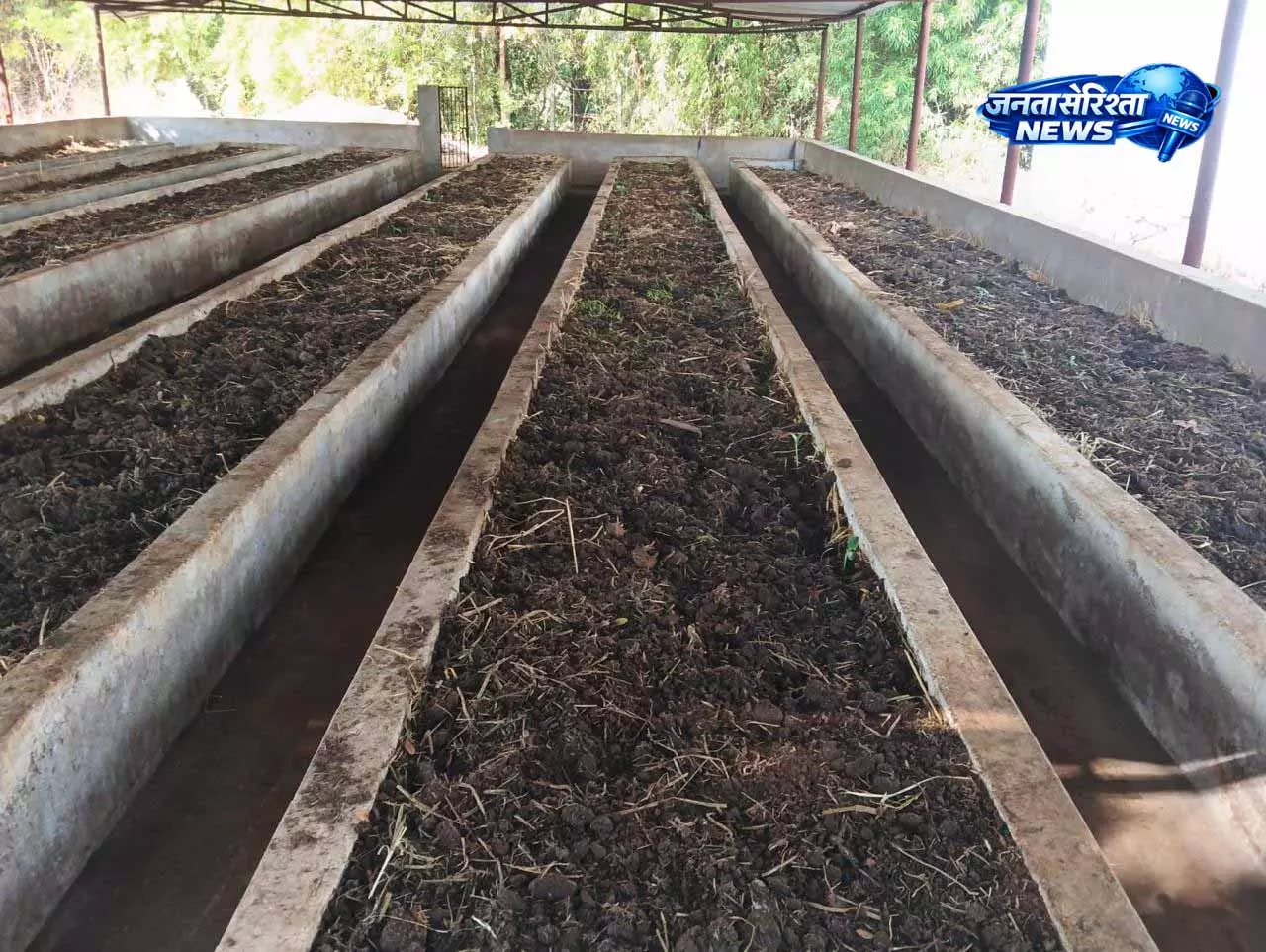 वर्मी कंपोस्ट उत्पादन बनी आत्मनिर्भरता की मिसाल वर्मी कंपोस्ट उत्पादन बनी आत्मनिर्भरता की मिसाल