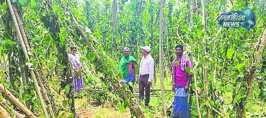 Karnataka : बेमौसम बारिश से भारी नुकसान Karnataka : बेमौसम बारिश से भारी नुकसान