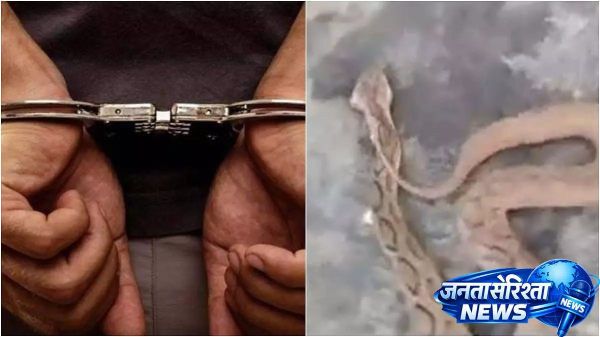 Jharkhand में सोशल मीडिया पर फेम के लिए संरक्षित वन्यजीवों की हत्या करने के आरोप में युवक गिरफ्तार Jharkhand में सोशल मीडिया पर फेम के लिए संरक्षित वन्यजीवों की हत्या करने के आरोप में युवक गिरफ्तार