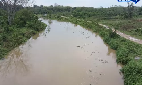 Assam: मूसलाधार बारिश से डूमडूमा में कटाव, फसल का नुकसान और बड़े पैमाने पर जलभराव