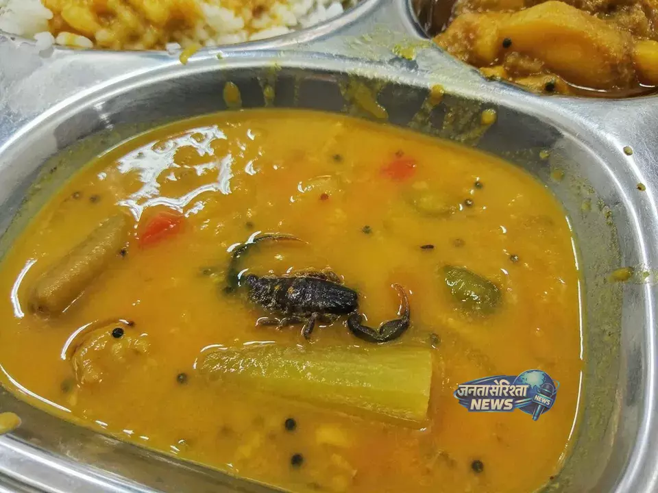 Odisha : स्टेट लाइब्रेरी में खाने में मिलावट का डर, आहार के खाने में बिच्छू मिला