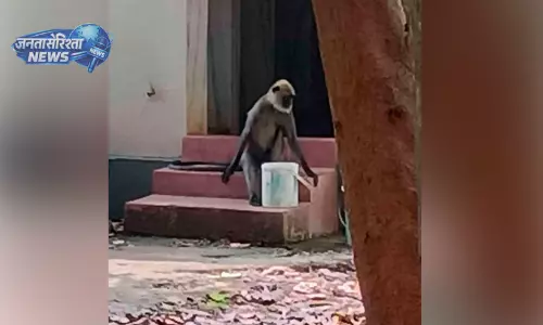 Kerala : बहुत ज़्यादा गर्मी जंगली जानवर आबादी वाले इलाकों में Kerala : बहुत ज़्यादा गर्मी जंगली जानवर आबादी वाले इलाकों में