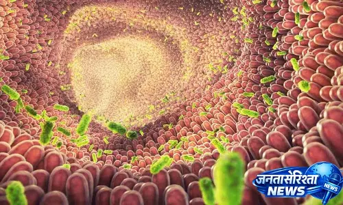 Good Gut Bacteria पाचन और मांसपेशियों के स्वास्थ्य को बढ़ाते हैं Good Gut Bacteria पाचन और मांसपेशियों के स्वास्थ्य को बढ़ाते हैं