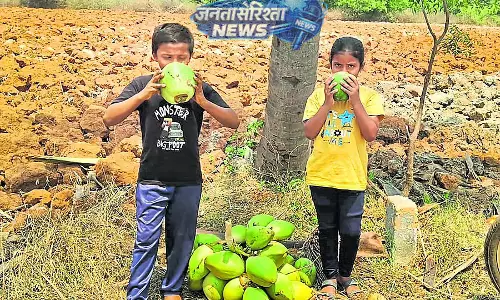 Karnataka : नारियल पानी की भारी मांग Karnataka : नारियल पानी की भारी मांग