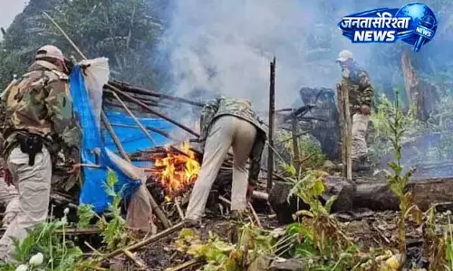 Jammu में नशीली दवाओं की खेती नष्ट, तस्कर गिरफ्तार