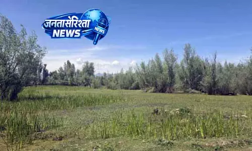 Kashmir के वेटलैंड्स में पहुंचे 15 लाख प्रवासी पक्षी