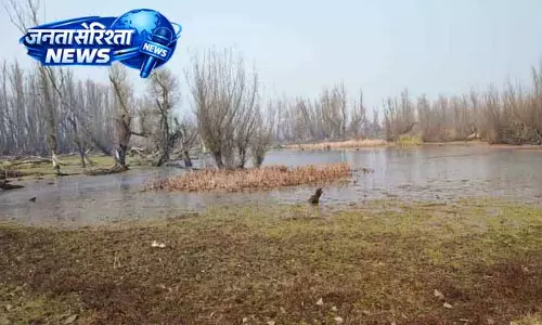 MLAs ने वेटलैंड सुरक्षा में गड़बड़ी पर उठाए सवाल MLAs ने वेटलैंड सुरक्षा में गड़बड़ी पर उठाए सवाल