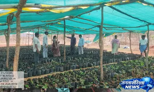 Krishnasagar में नर्सरी और रोजगार कार्यों का निरीक्षण Krishnasagar में नर्सरी और रोजगार कार्यों का निरीक्षण