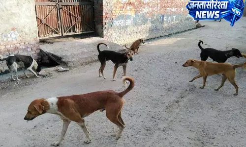 तखतपुर में पागल कुत्तों का आतंक, कुछ घंटों में 25 लोग घायल, अस्पताल में इलाज जारी तखतपुर में पागल कुत्तों का आतंक, कुछ घंटों में 25 लोग घायल, अस्पताल में इलाज जारी