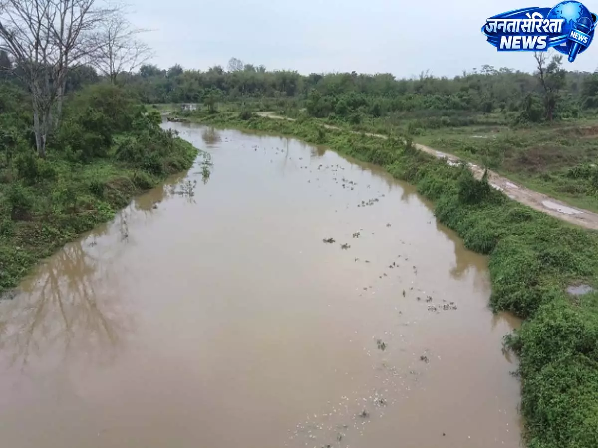 Assam: मूसलाधार बारिश से डूमडूमा में कटाव, फसल का नुकसान और बड़े पैमाने पर जलभराव Assam: मूसलाधार बारिश से डूमडूमा में कटाव, फसल का नुकसान और बड़े पैमाने पर जलभराव