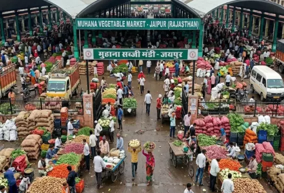 Jaipur: मुहाना मंडी में भिंडी सस्ती, आलू-प्याज के भाव स्थिर Jaipur: मुहाना मंडी में भिंडी सस्ती, आलू-प्याज के भाव स्थिर