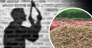 Auraiya: आलू की बर्बादी से दुखी युवक ने खेत में लगाई फांसी Auraiya: आलू की बर्बादी से दुखी युवक ने खेत में लगाई फांसी