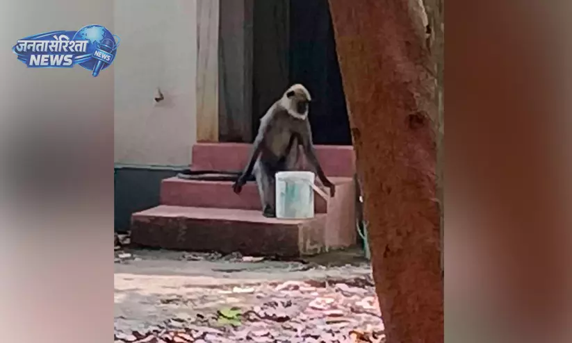 Kerala : बहुत ज़्यादा गर्मी जंगली जानवर आबादी वाले इलाकों में Kerala : बहुत ज़्यादा गर्मी जंगली जानवर आबादी वाले इलाकों में