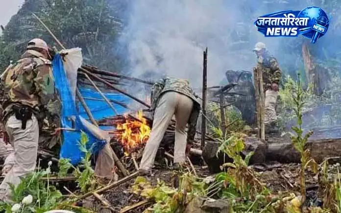 Jammu में नशीली दवाओं की खेती नष्ट, तस्कर गिरफ्तार Jammu में नशीली दवाओं की खेती नष्ट, तस्कर गिरफ्तार