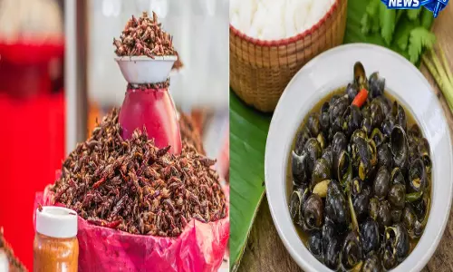 Manipur की पारंपरिक डिश: प्रोटीन के लिए एक टिकाऊ और सस्टेनेबल विकल्प Manipur की पारंपरिक डिश: प्रोटीन के लिए एक टिकाऊ और सस्टेनेबल विकल्प