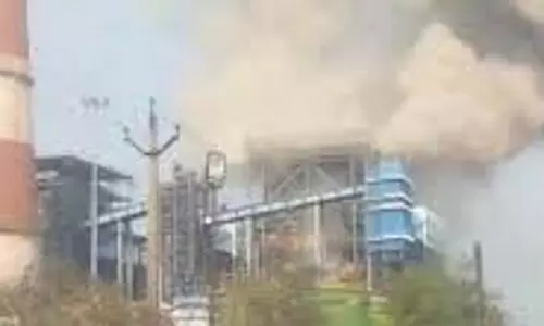 केंद्र सरकार से वेदान्ता पॉवर प्लांट हादसे की जांच की मांग, बीजेपी सांसद का पत्र
