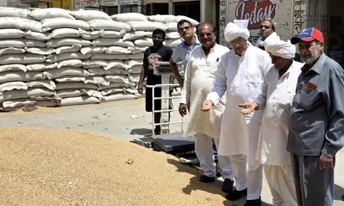 Haryana की रोहतक अनाज मंडी में 37% गेहूं उठा, किसान सभा ने चिंता जताई