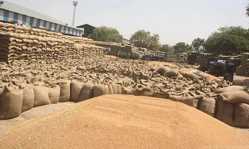 Jabalpur: गेहूं की किल्लत और बढ़ती कीमतों पर लगाम Jabalpur: गेहूं की किल्लत और बढ़ती कीमतों पर लगाम