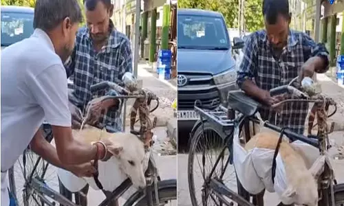 Mumbai: बीमार कुत्ते को साइकिल से बांधकर इलाज के लिए ले गया शख्स, वीडियो ने जीता दिल Mumbai: बीमार कुत्ते को साइकिल से बांधकर इलाज के लिए ले गया शख्स, वीडियो ने जीता दिल