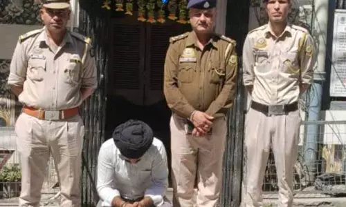 Shimla में पंजाब के व्यक्ति समेत चार अन्य गिरफ्तार, ड्रग्स बरामद Shimla में पंजाब के व्यक्ति समेत चार अन्य गिरफ्तार, ड्रग्स बरामद