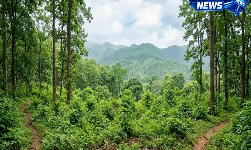 Meghalaya ने गारो हिल्स में 20.89 हेक्टेयर ज़मीन को कम्युनिटी रिज़र्व के तहत लाया