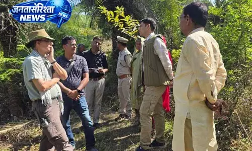 कांगड़ा के जंगलों में हरित पहल, KfW टीम ने रेस्टोरेशन प्रोजेक्ट का निरीक्षण किया कांगड़ा के जंगलों में हरित पहल, KfW टीम ने रेस्टोरेशन प्रोजेक्ट का निरीक्षण किया