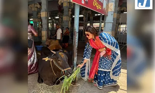 तिरुपति में गौसेवा करती दिखीं शमिता शेट्टी, बहन शिल्पा ने की तारीफ तिरुपति में गौसेवा करती दिखीं शमिता शेट्टी, बहन शिल्पा ने की तारीफ