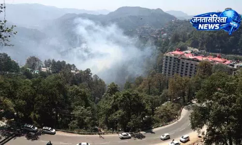 Shimla के जंगल में आग, ग्रामीण और पर्यटक परेशान
