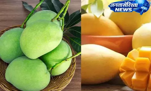 कच्चा या पका आम, कौन सा इस्तेमाल करें और कौन सी Dishes बनाएं कच्चा या पका आम, कौन सा इस्तेमाल करें और कौन सी Dishes बनाएं