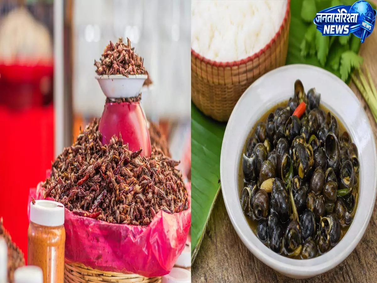 Manipur की पारंपरिक डिश: प्रोटीन के लिए एक टिकाऊ और सस्टेनेबल विकल्प Manipur की पारंपरिक डिश: प्रोटीन के लिए एक टिकाऊ और सस्टेनेबल विकल्प