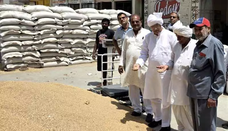 Haryana की रोहतक अनाज मंडी में 37% गेहूं उठा, किसान सभा ने चिंता जताई Haryana की रोहतक अनाज मंडी में 37% गेहूं उठा, किसान सभा ने चिंता जताई