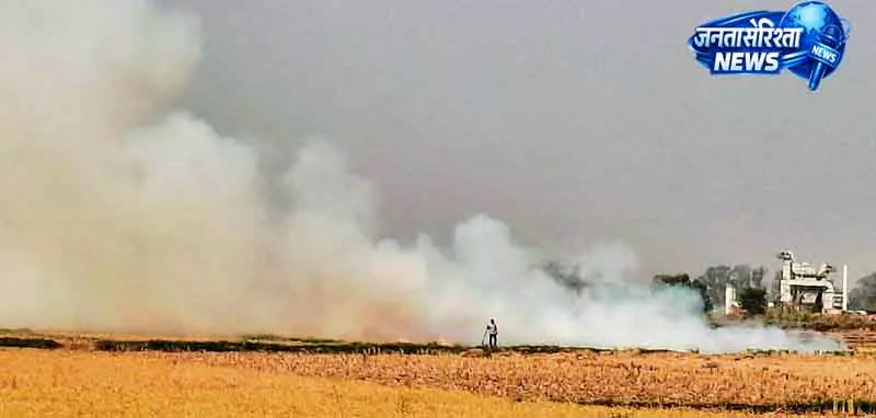 Karnal में पराली जलाने पर निगरानी के लिए 650 अधिकारी तैनात Karnal में पराली जलाने पर निगरानी के लिए 650 अधिकारी तैनात